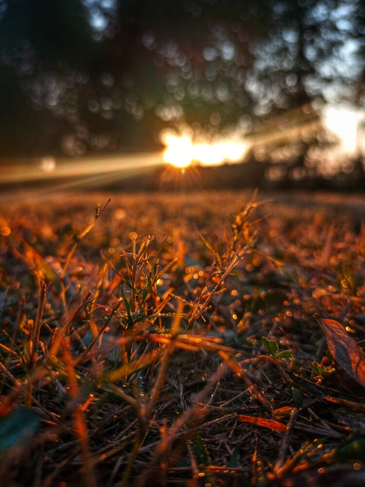 Photograph by Hurain Rauf