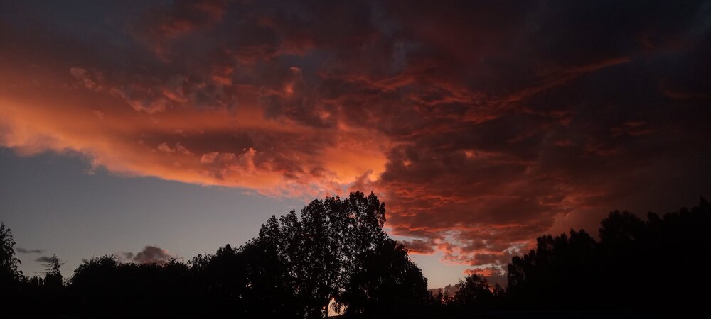 Photo #14024249