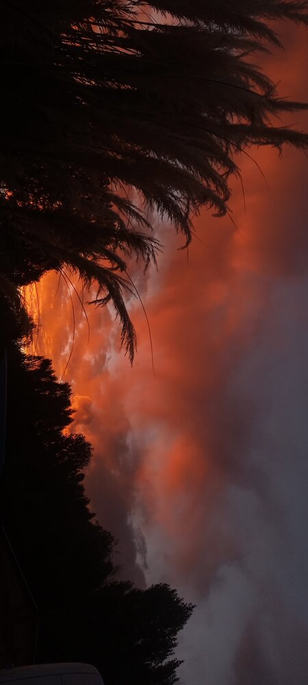 Photo #14024251