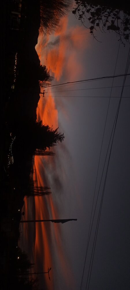 Photo #14024257