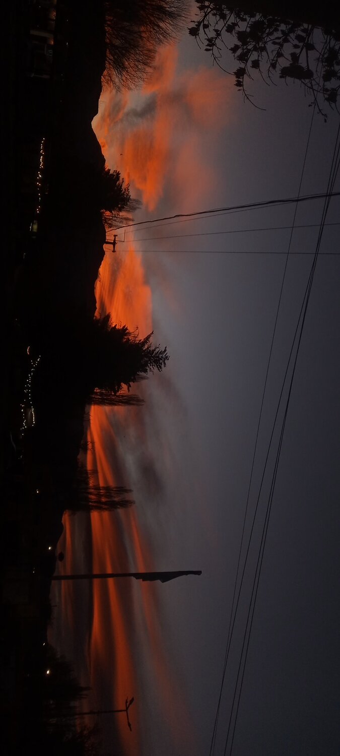 Photo #14024257