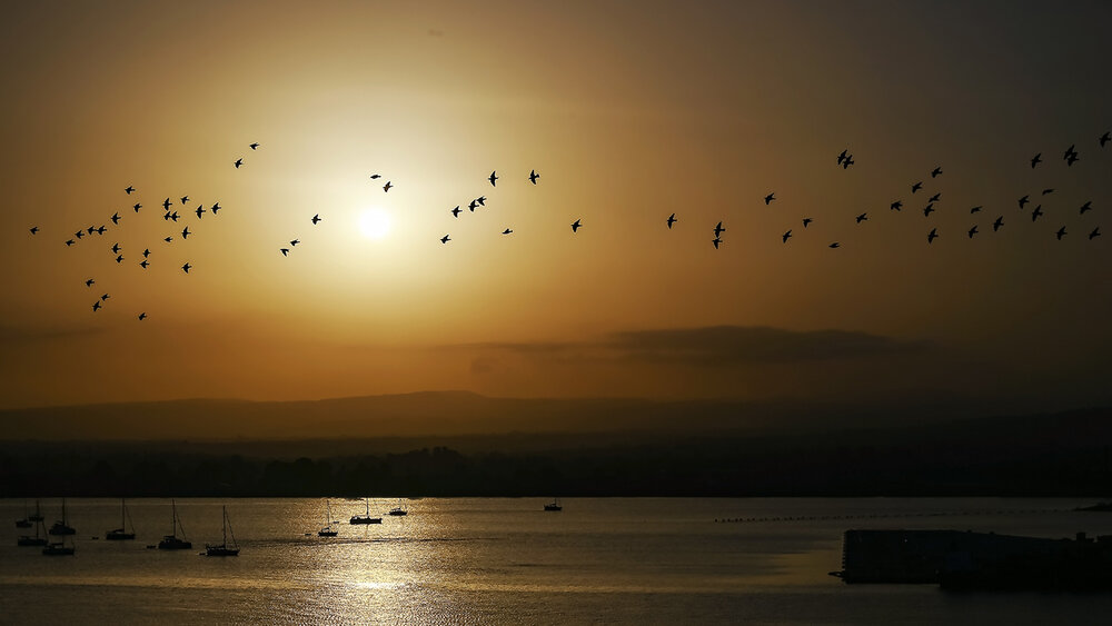 Photograph by Barbara Pindo