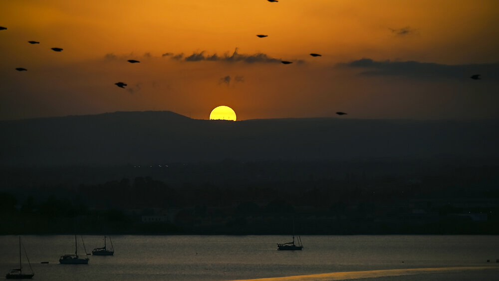 Photograph by Barbara Pindo