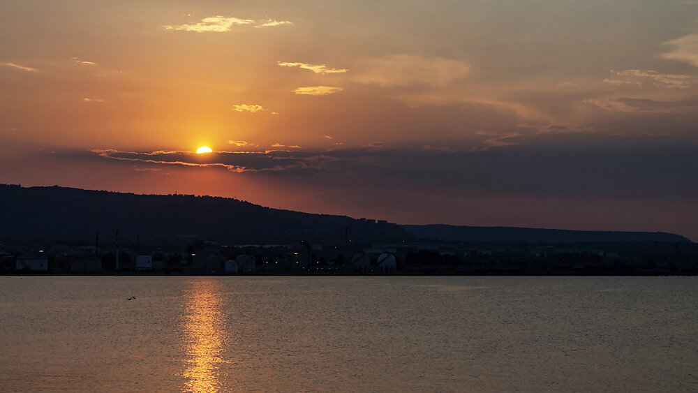 Photograph by Barbara Pindo