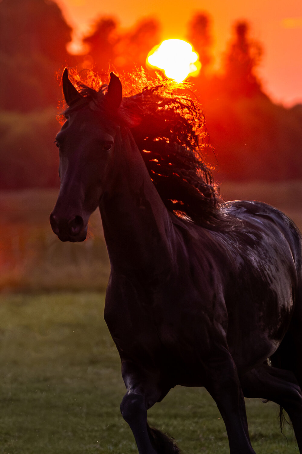Photo #14024453