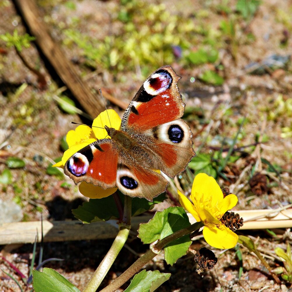 Photograph by Галина Швыркова