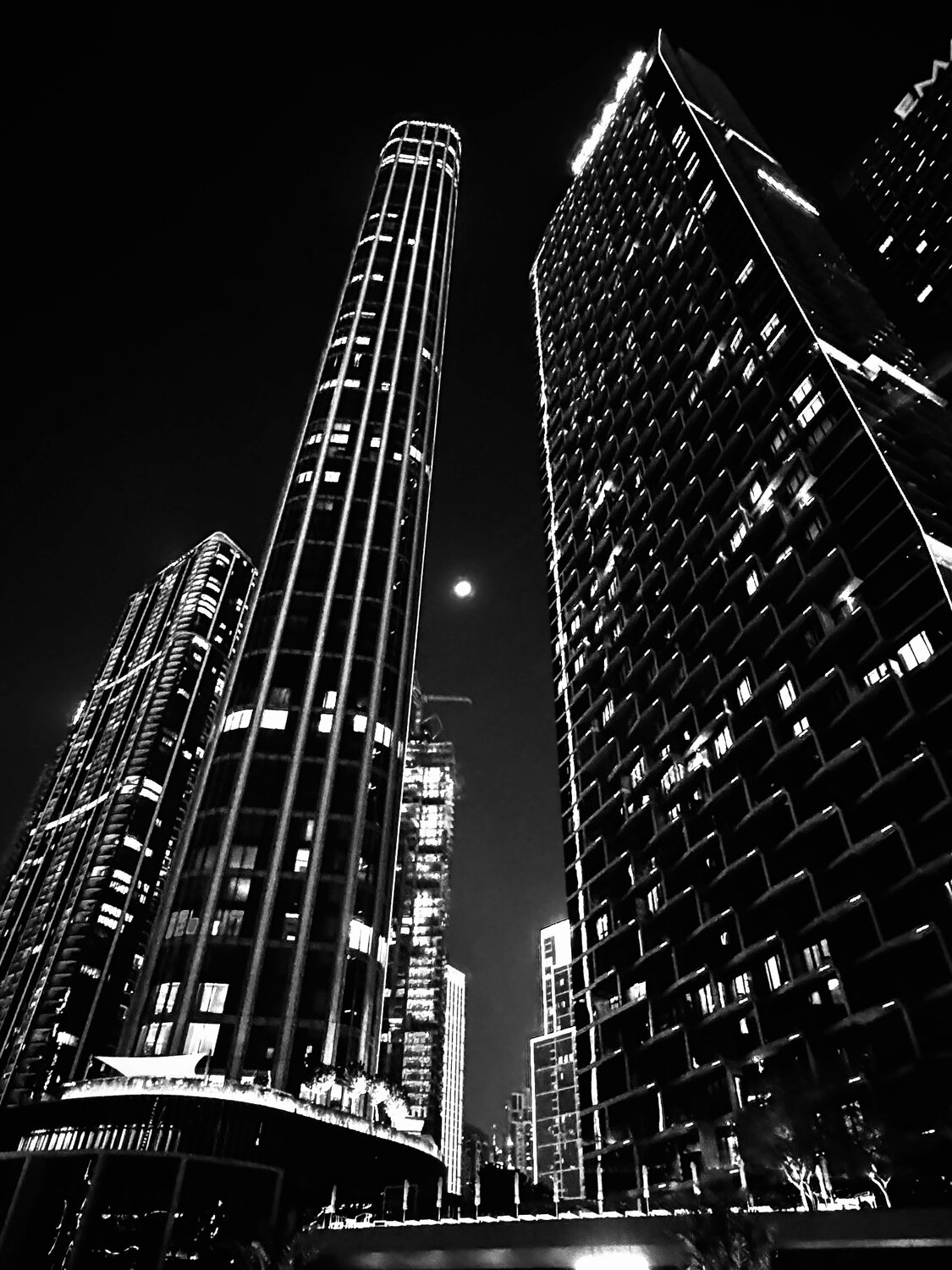 Photo #14024535