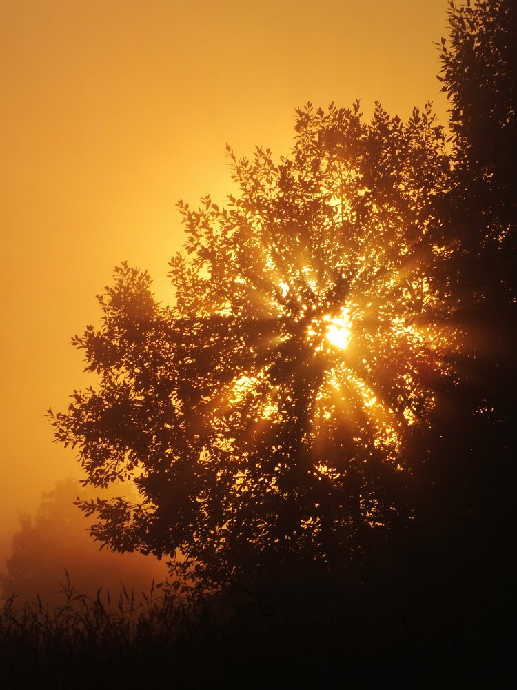 Photograph by Андрей Шестаков