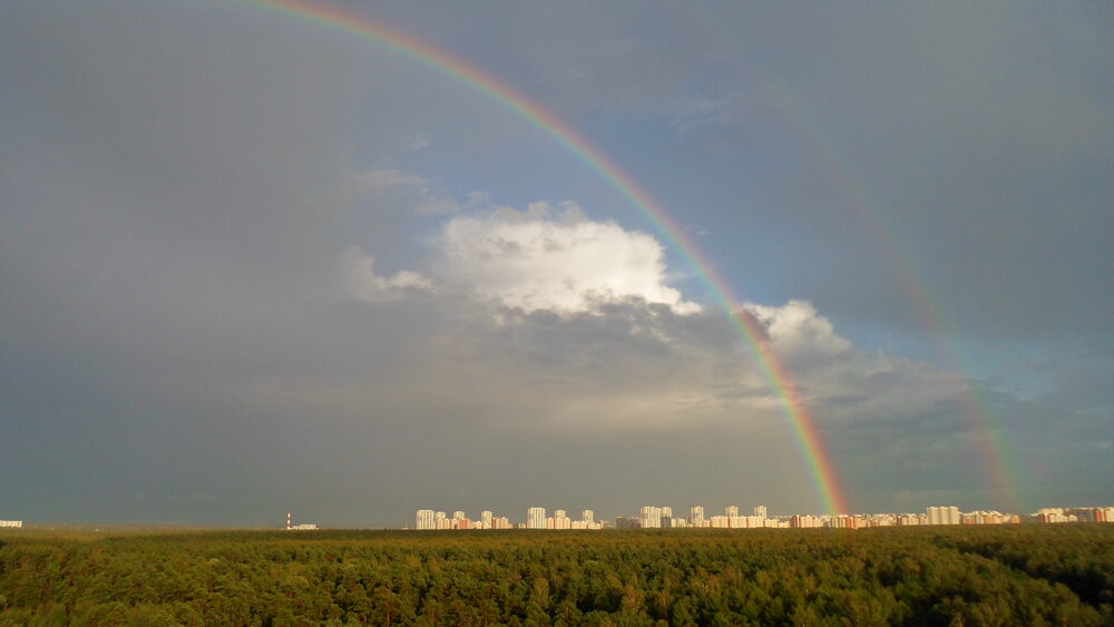 Фотография автора Юлия Алпатова