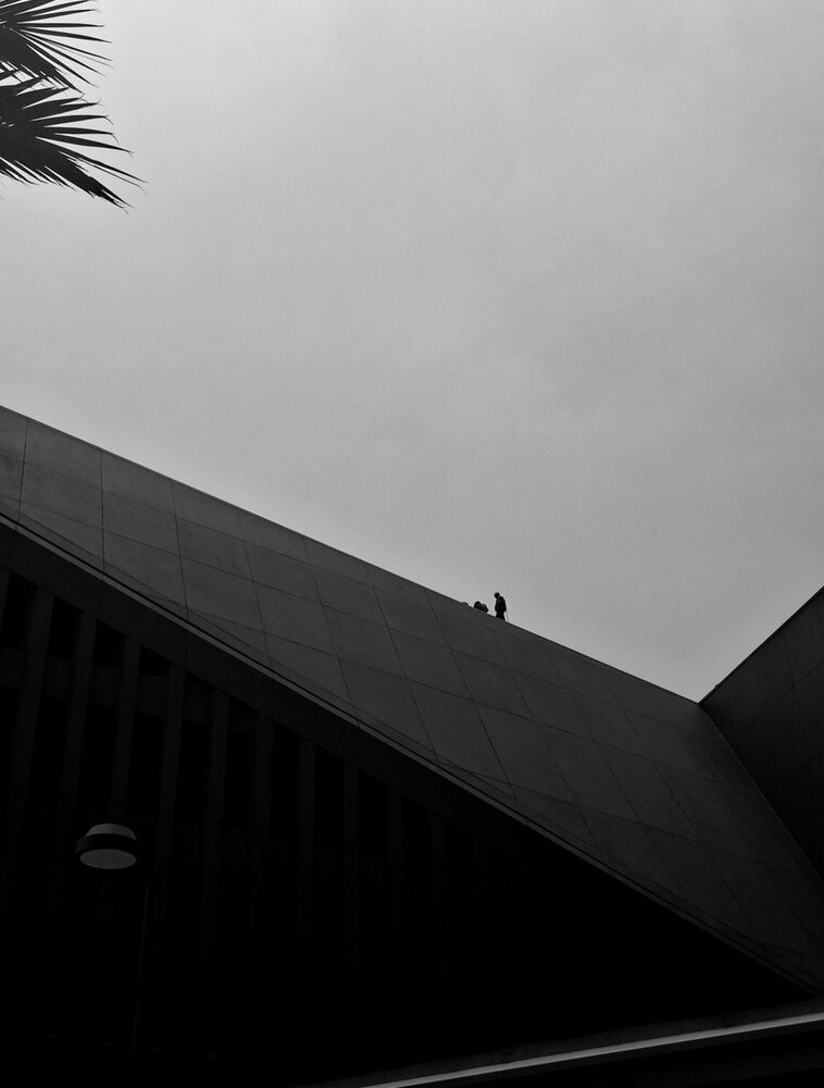 Photograph by Diego Cesar Monroy Chaparro