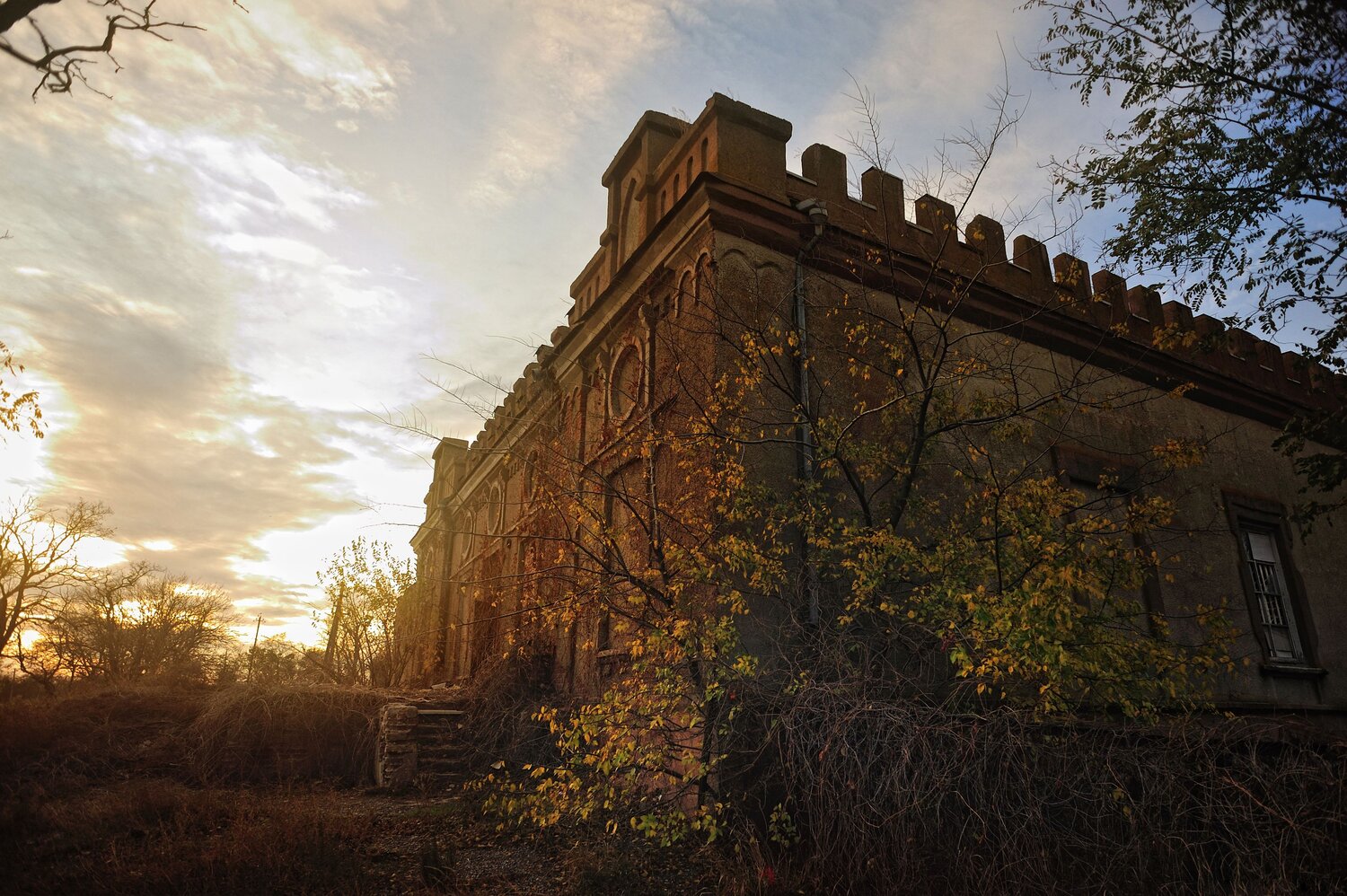 Photo #14024631