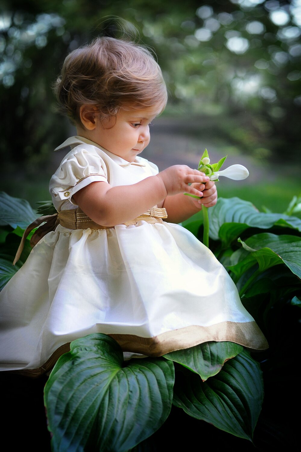 Photo #14024669
