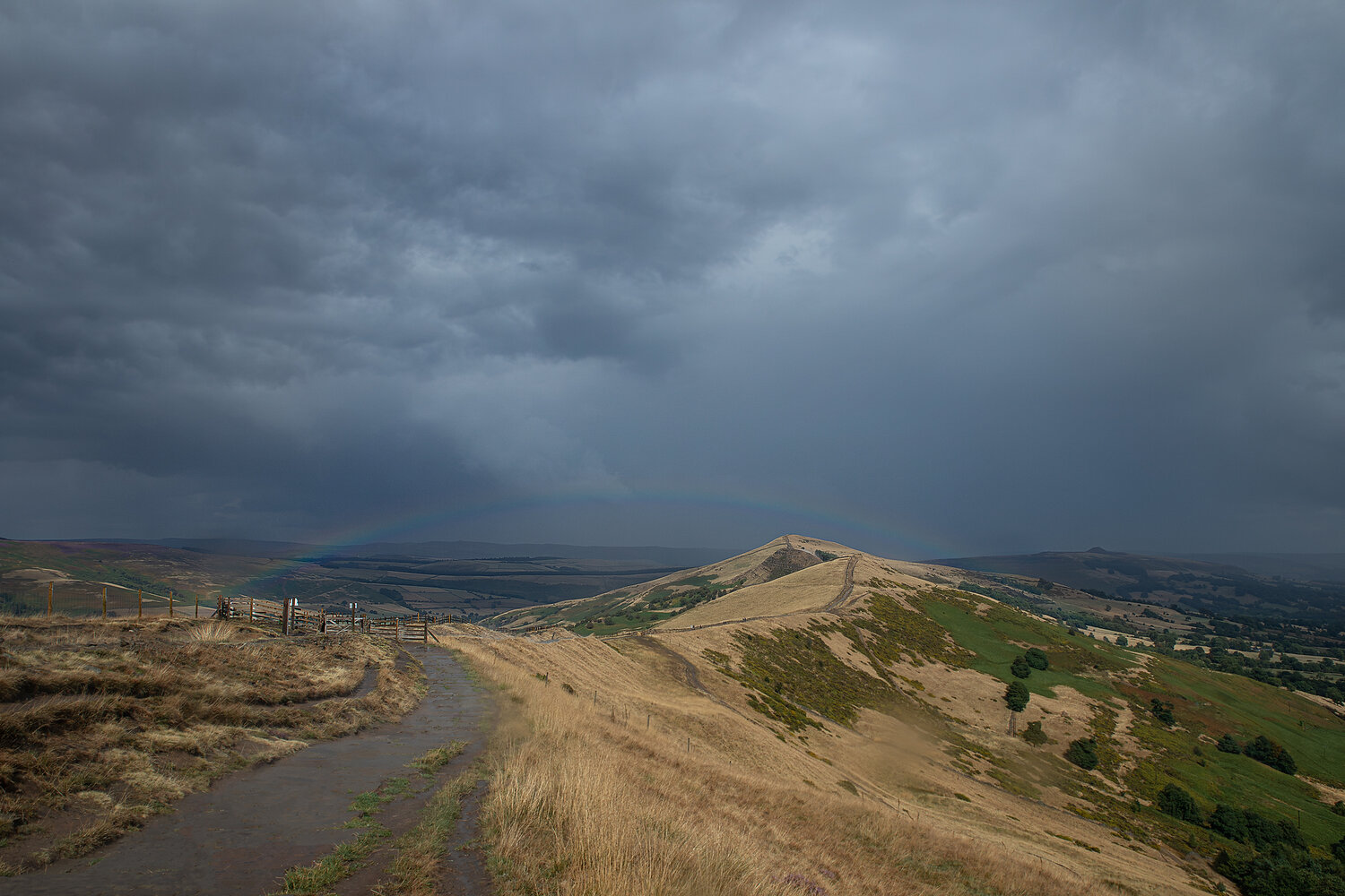 Photo #14024686