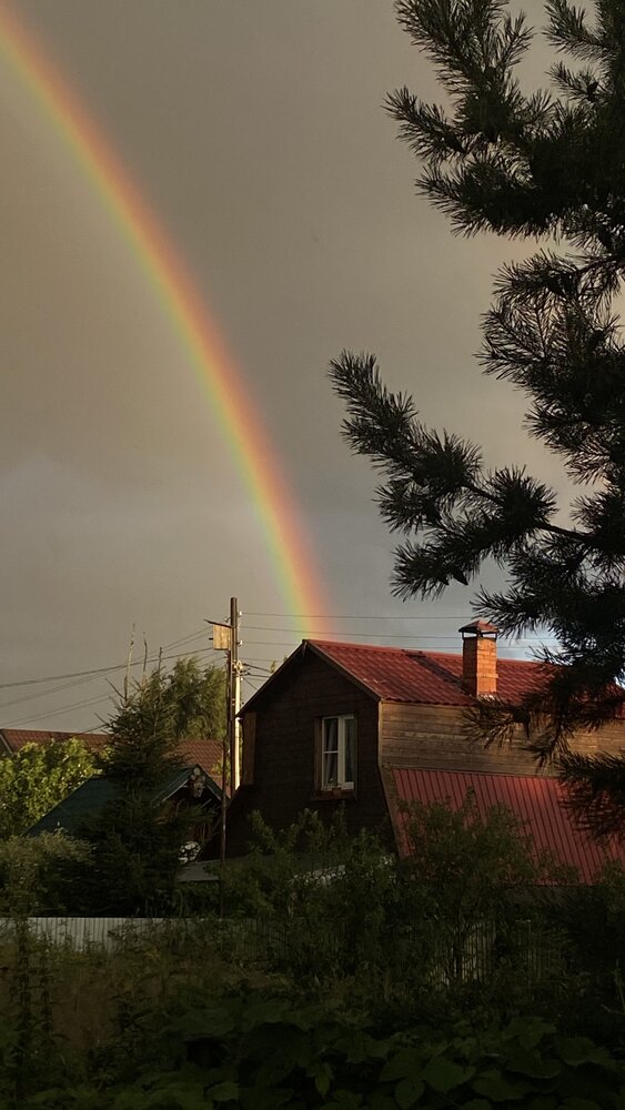 Радужный улов на даче