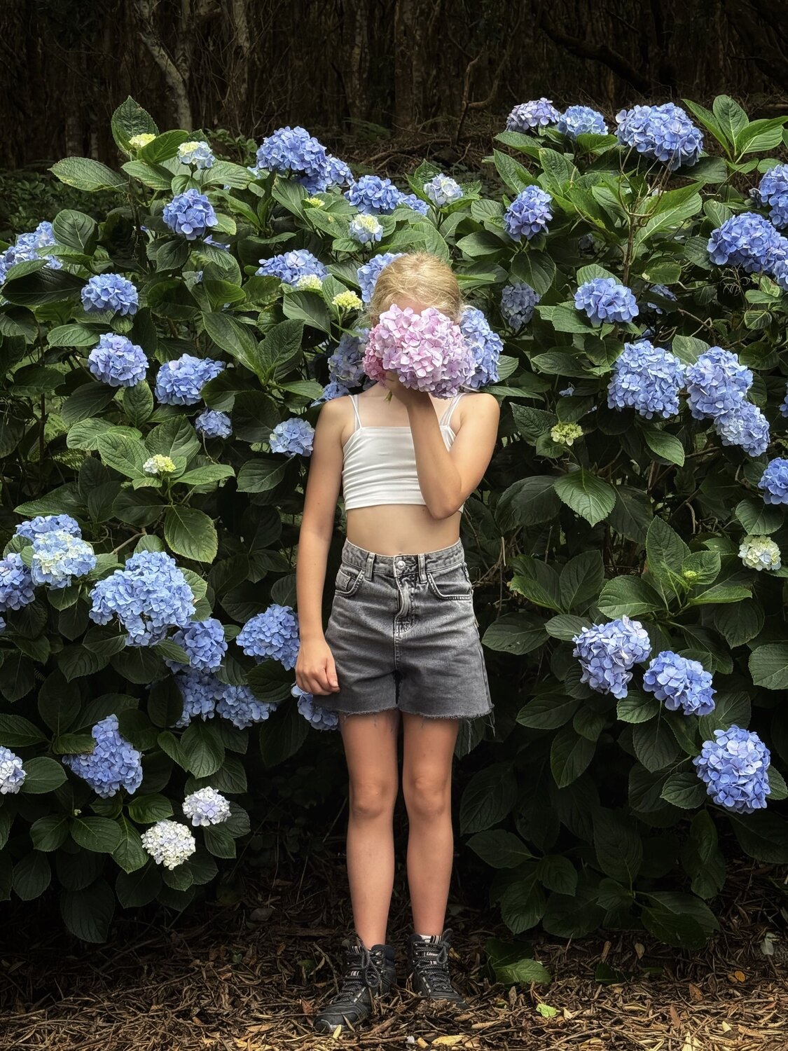 Photo #14024787