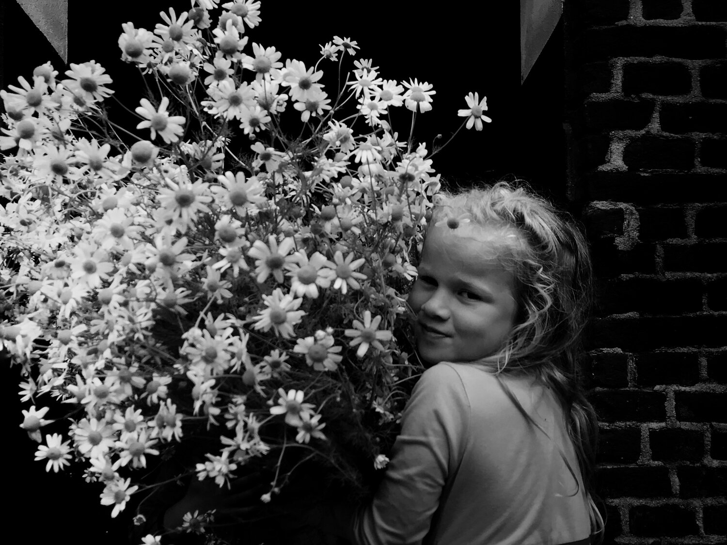 Photo #14024788