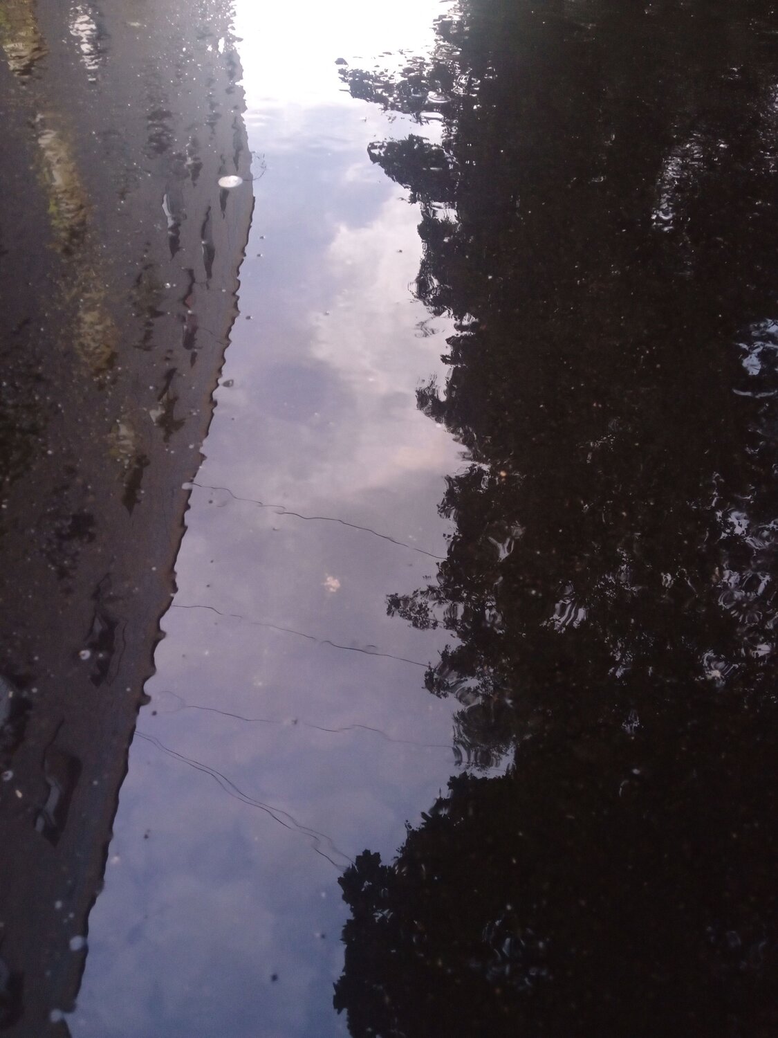Photo #14024864