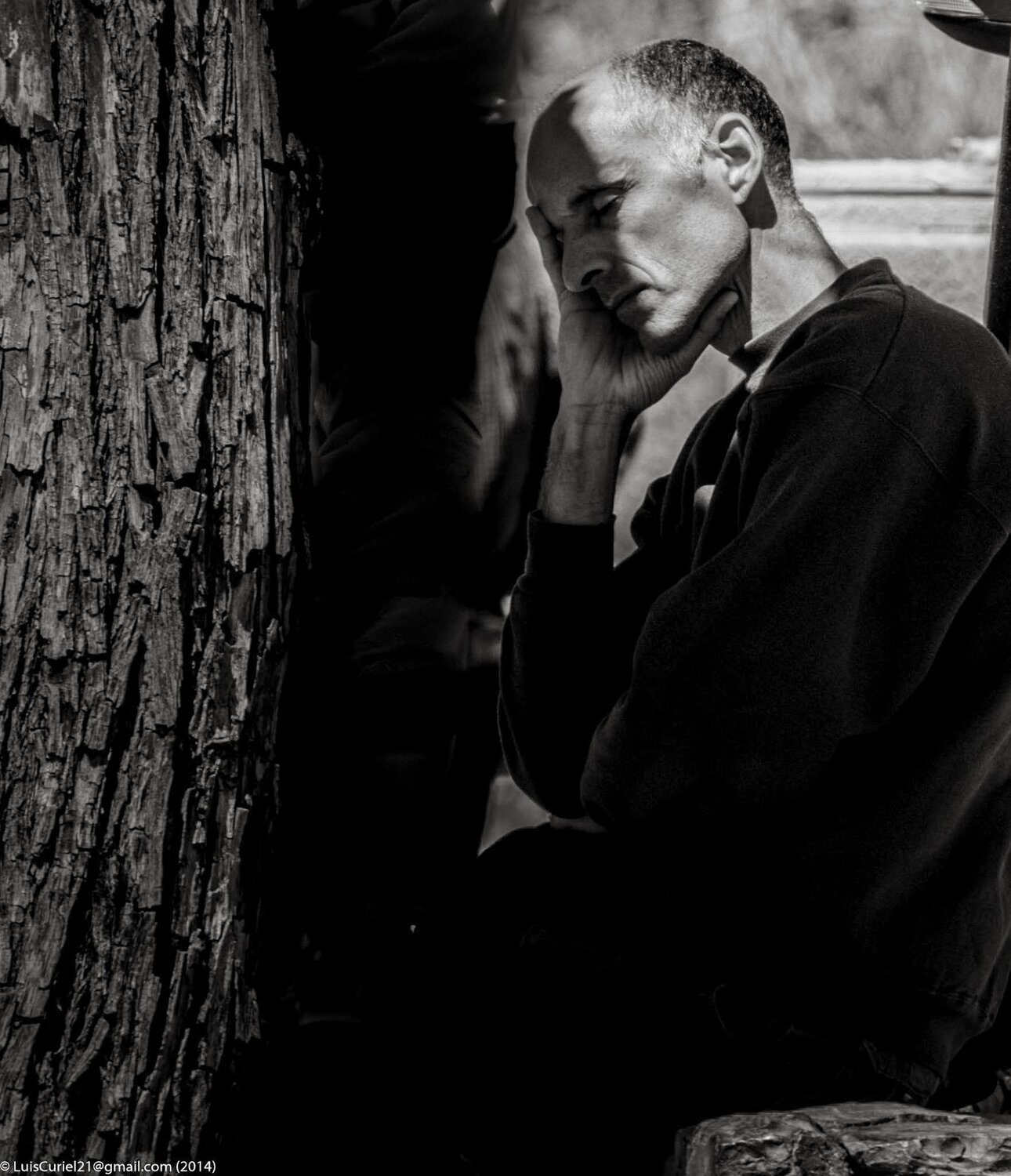 Photo #14025007