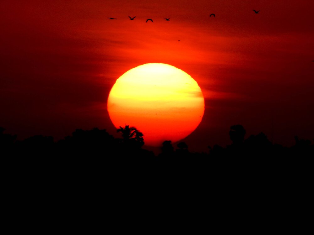 Photograph by Sankar P