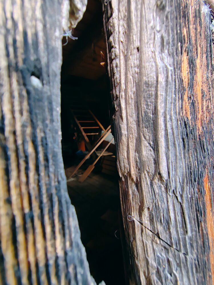 Photograph by Ирина Дружинина