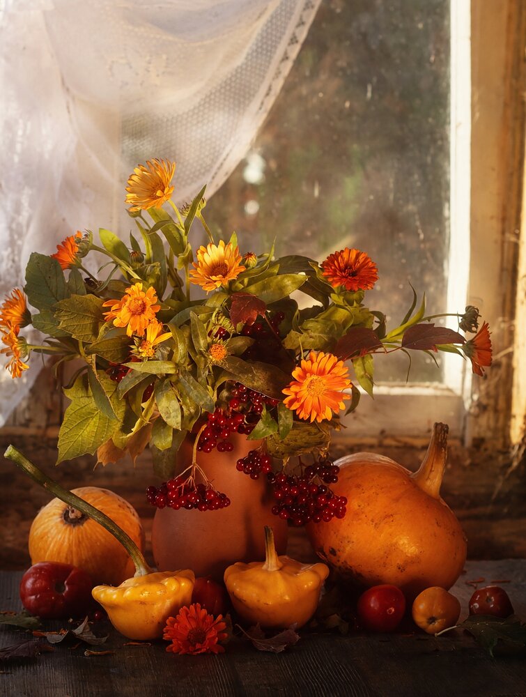 Photograph by Olga Sidorova