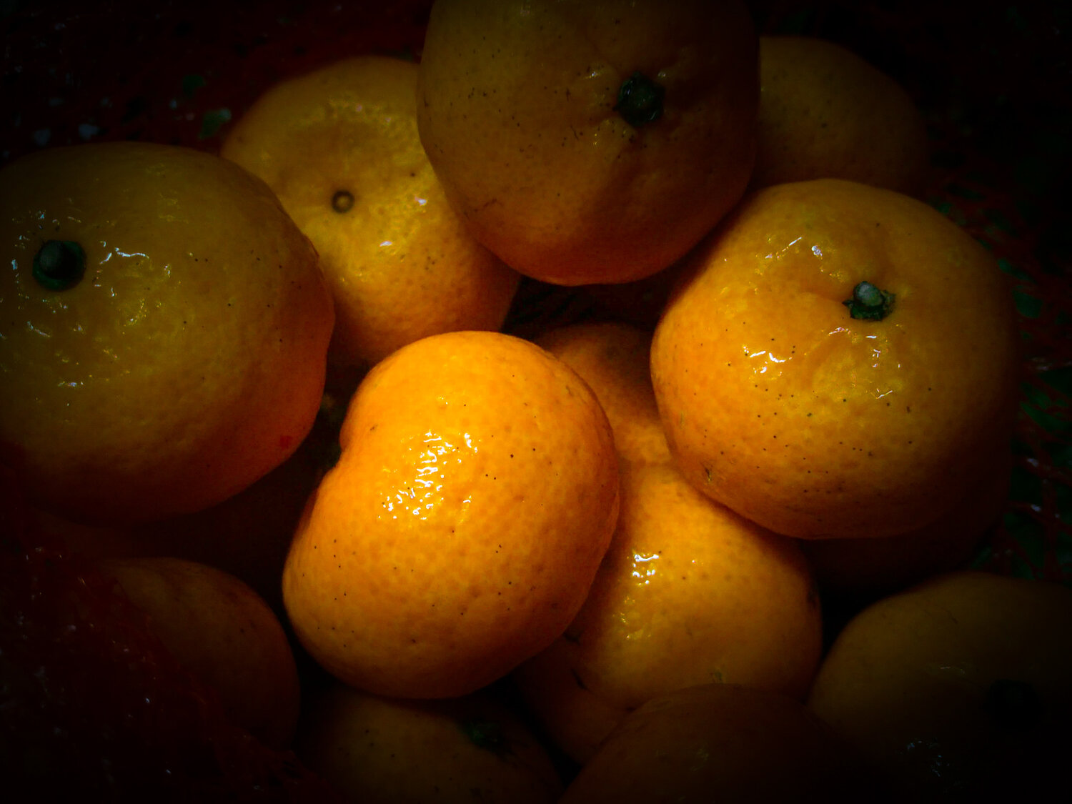 Photo #14025153