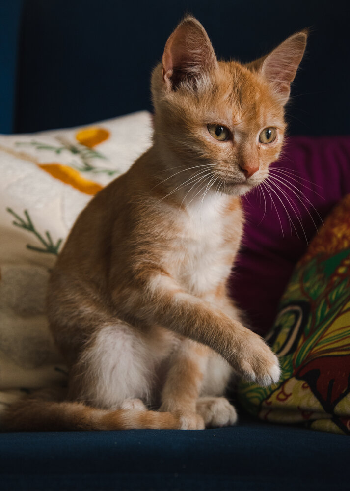 Photograph by Чернякова Анна