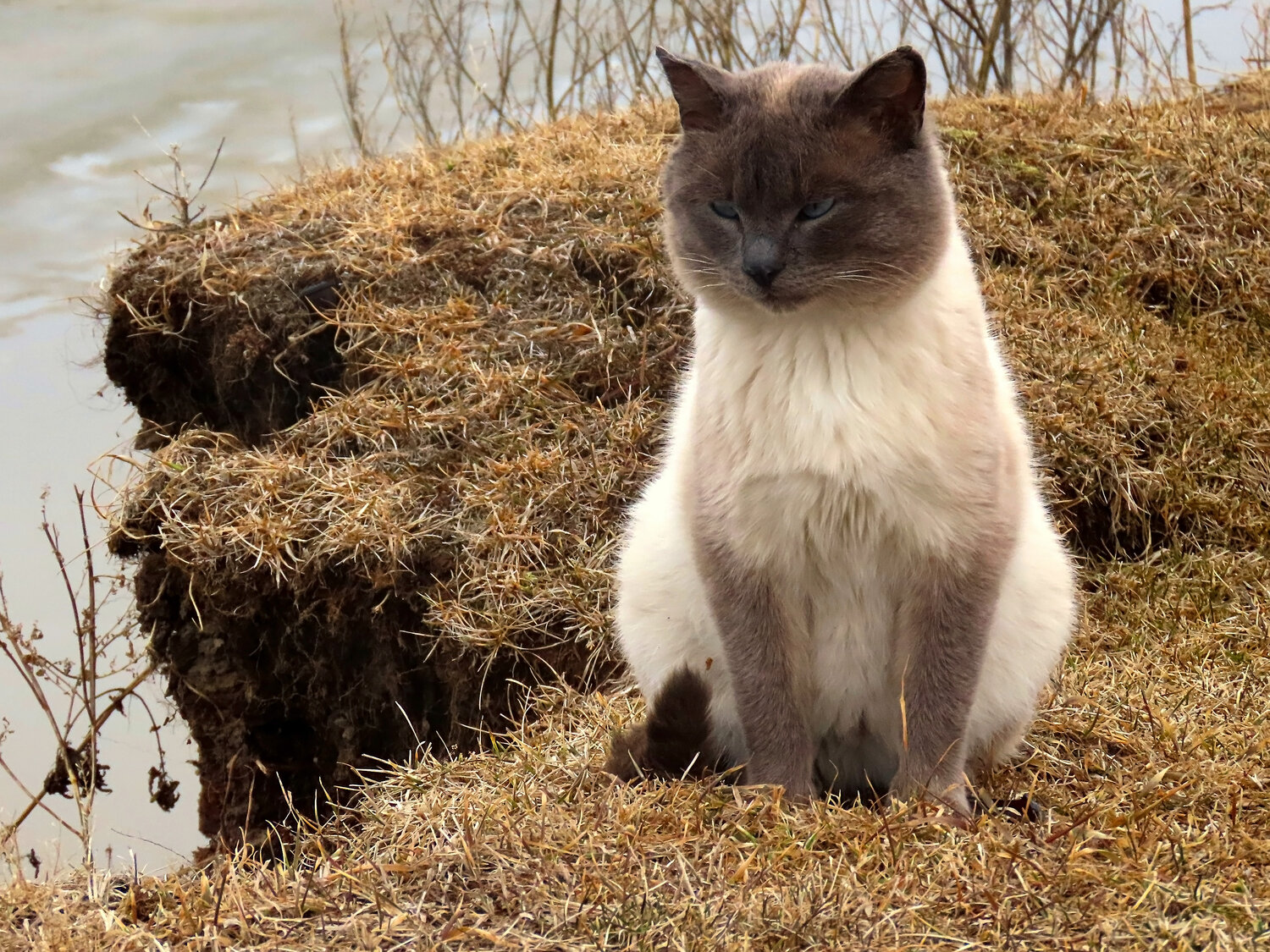 Photo #14025242