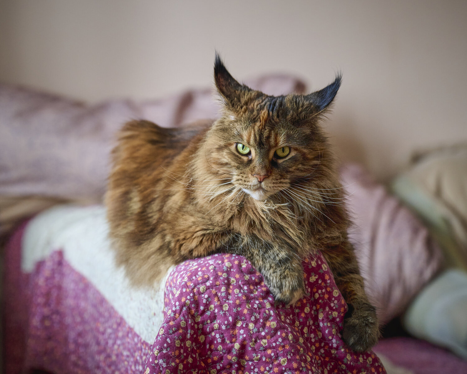 Photo #14025269