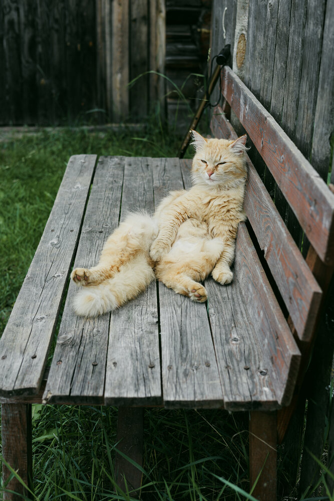 Photograph by Iuliia Tutynina
