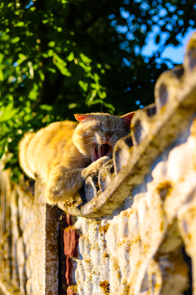 Photograph by Руслана Ковалевская