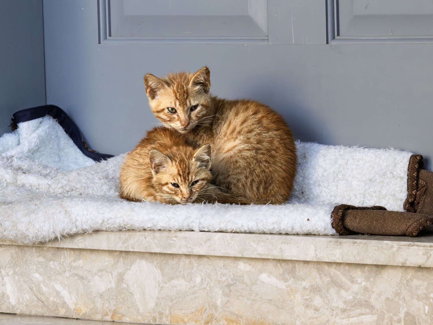 Photo #14025367