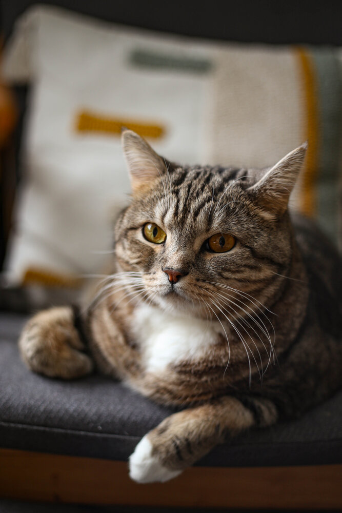 Photograph by Наталия Козлова