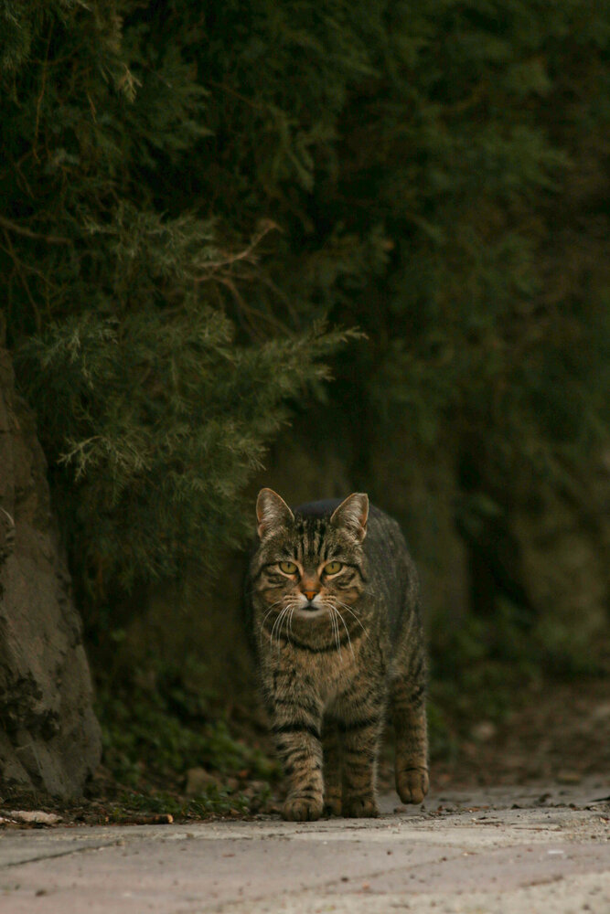 Photograph by Наталия Козлова