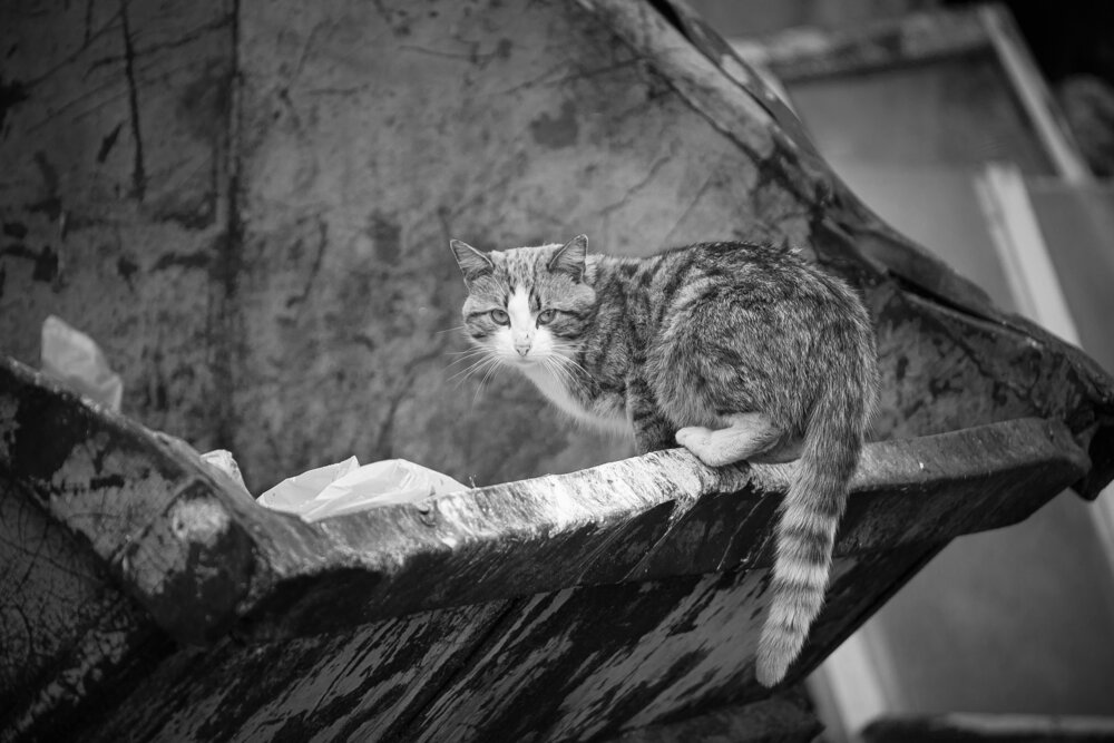 Photograph by Дарья Улюсова
