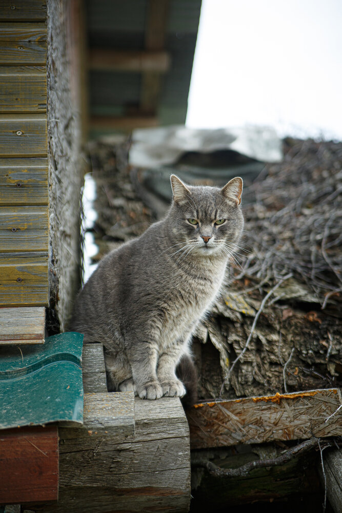 Photograph by Дарья Улюсова