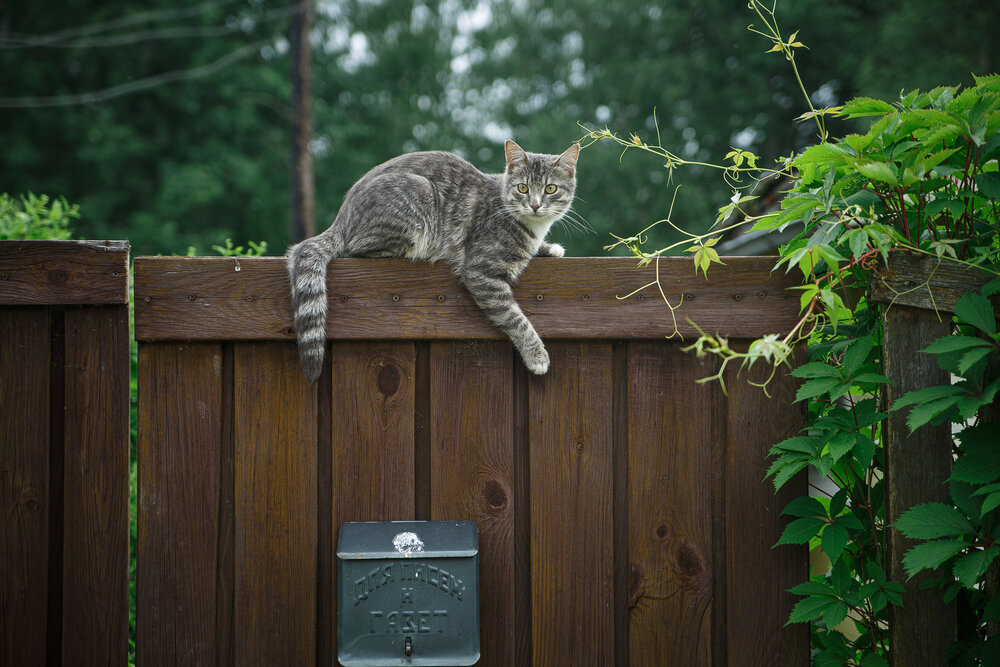 Photograph by Дарья Улюсова
