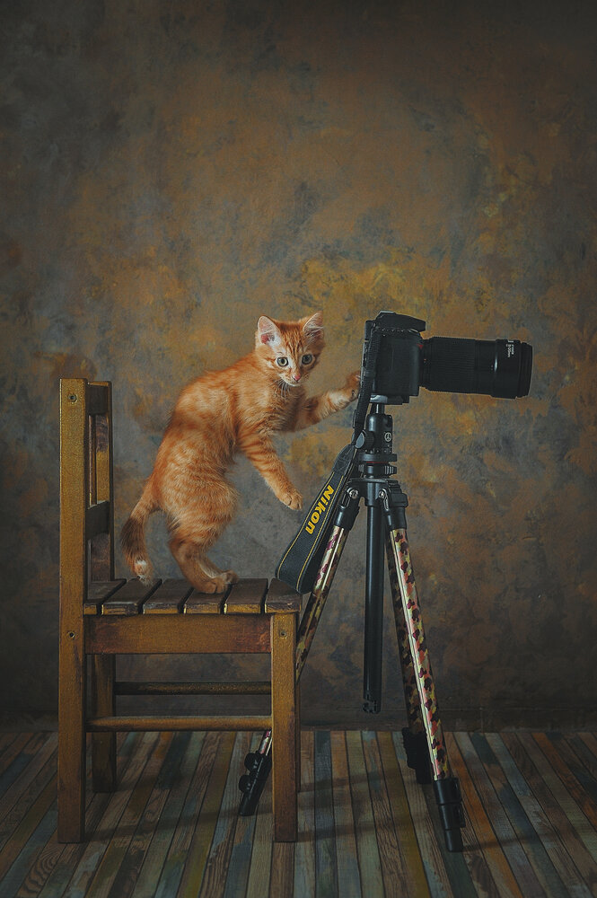 Photograph by Лысенкова Аксинья