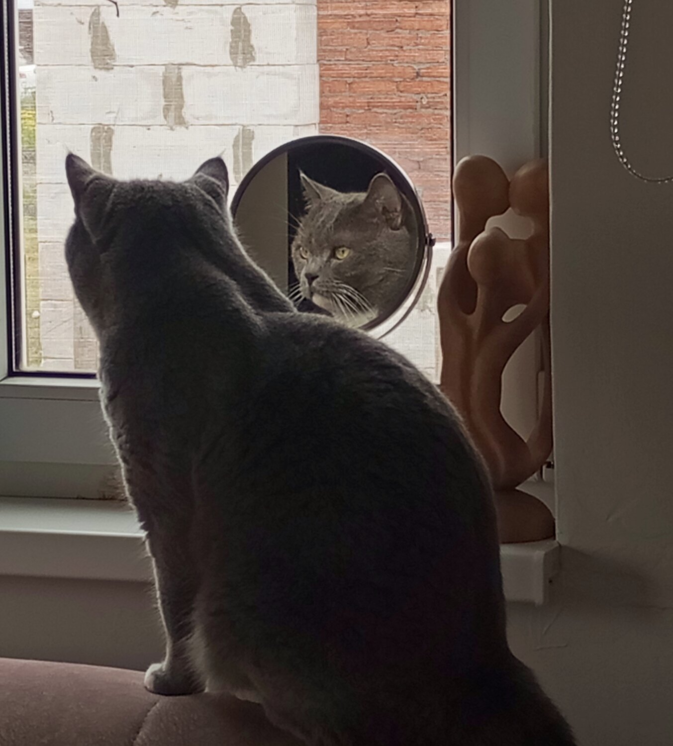 Photo #14025478