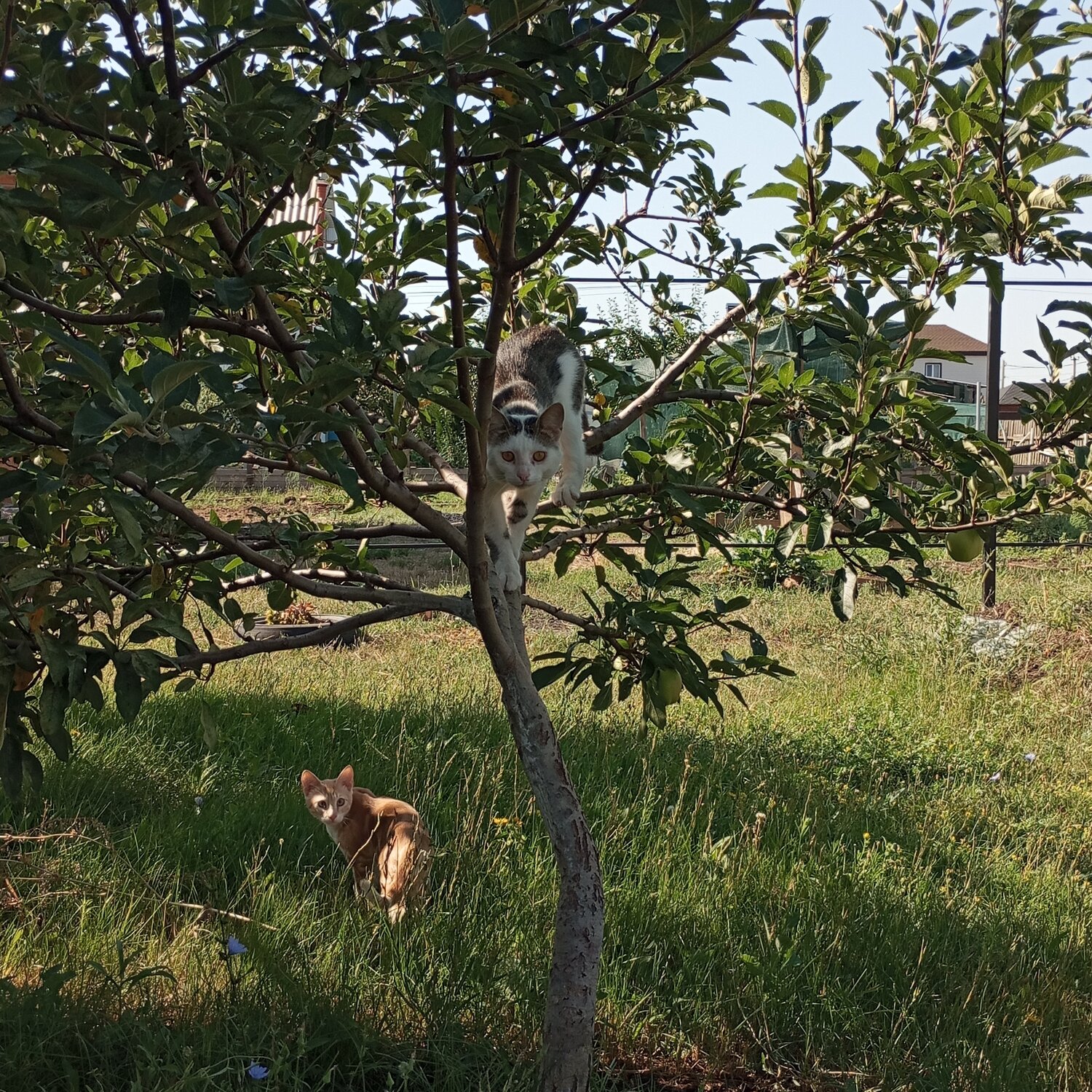Photo #14025479