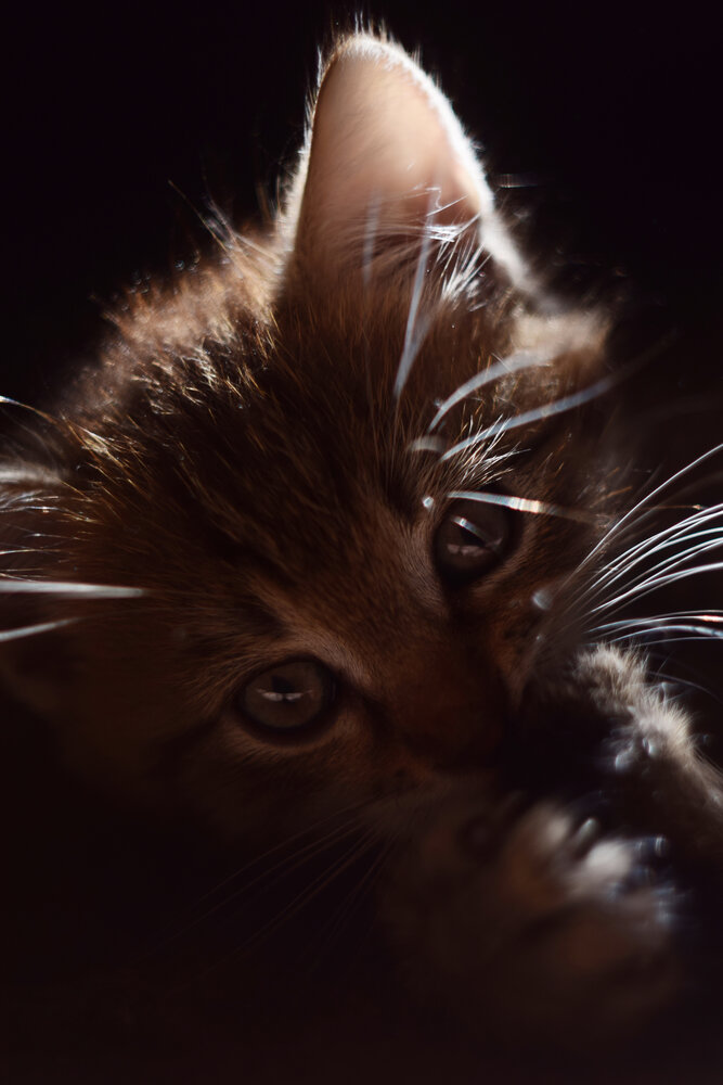 Photograph by Ольга Рыкова
