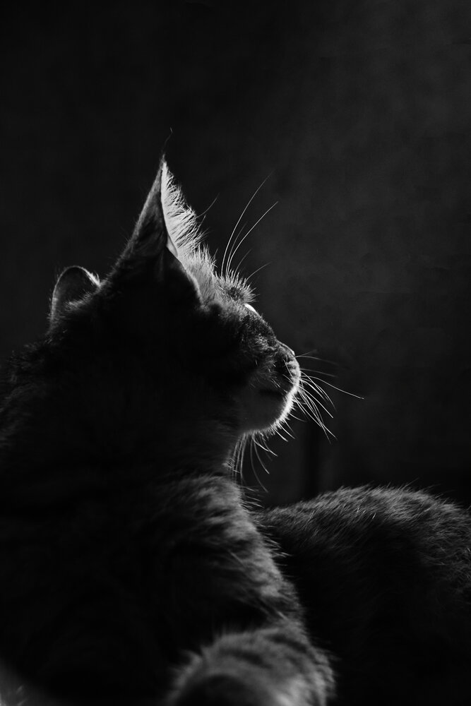 Photograph by Ольга Рыкова