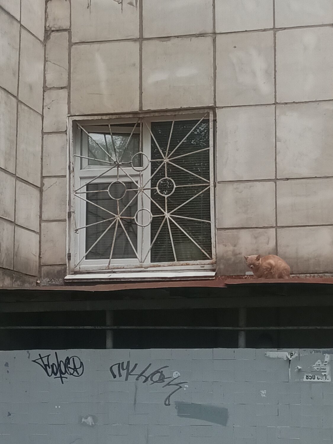 Photo #14025507