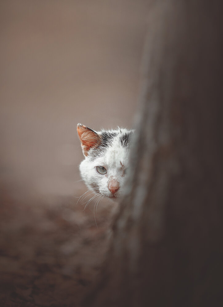 Photograph by Лысенкова Аксинья