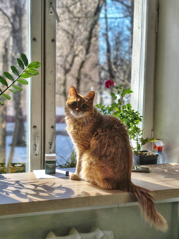 Photograph by Вадим Сташкевич