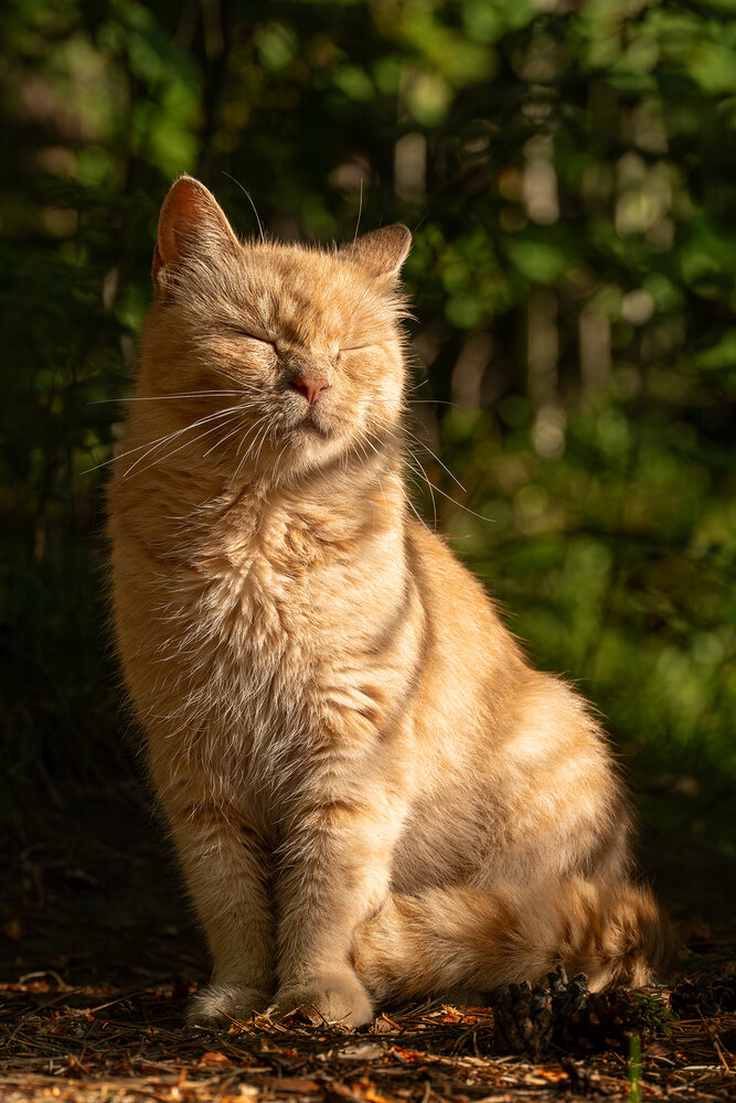 Photograph by Rut Andrey