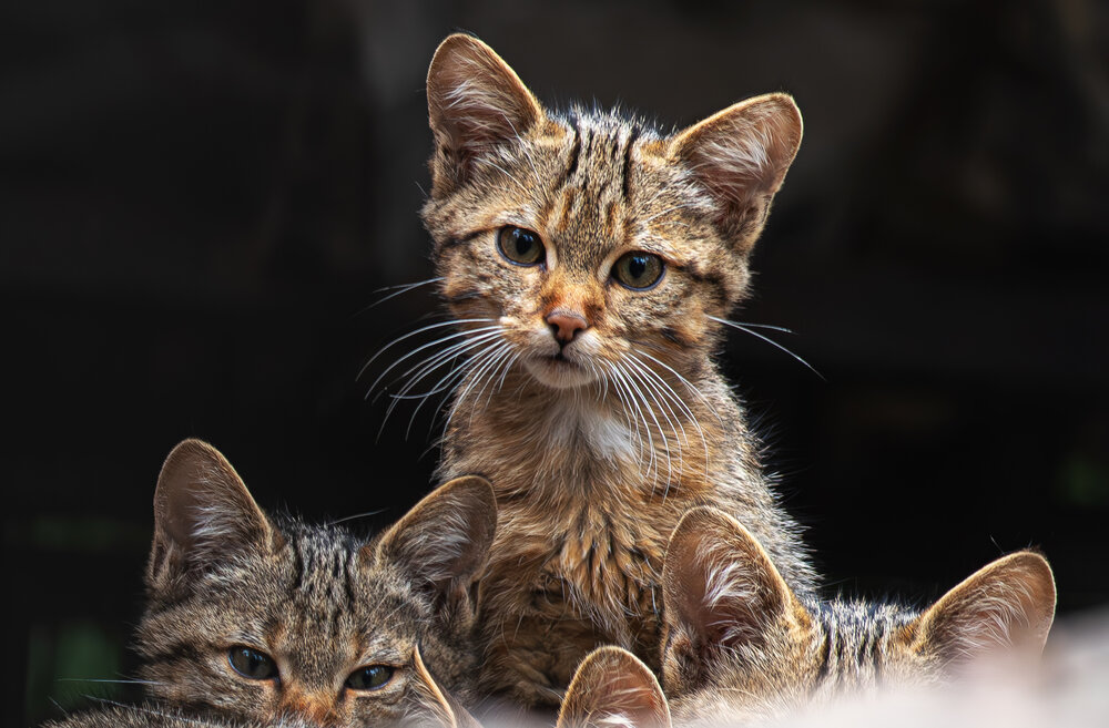 Photograph by Михаил Измайлов