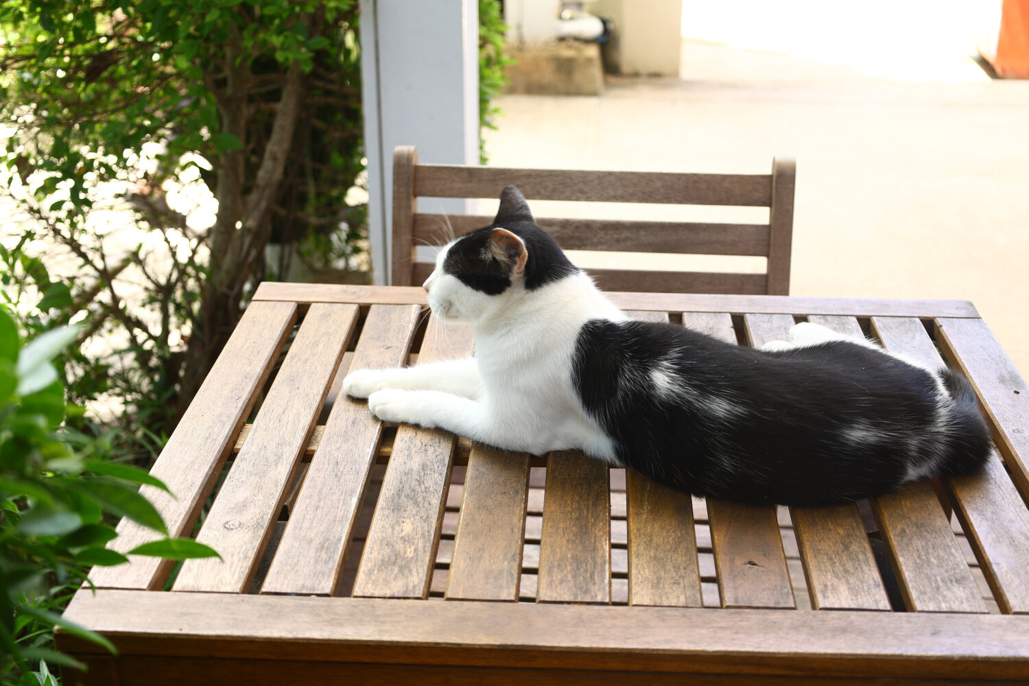 Photo #14025591