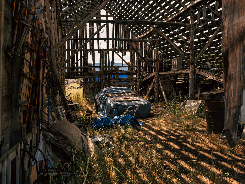 Photo #14025602