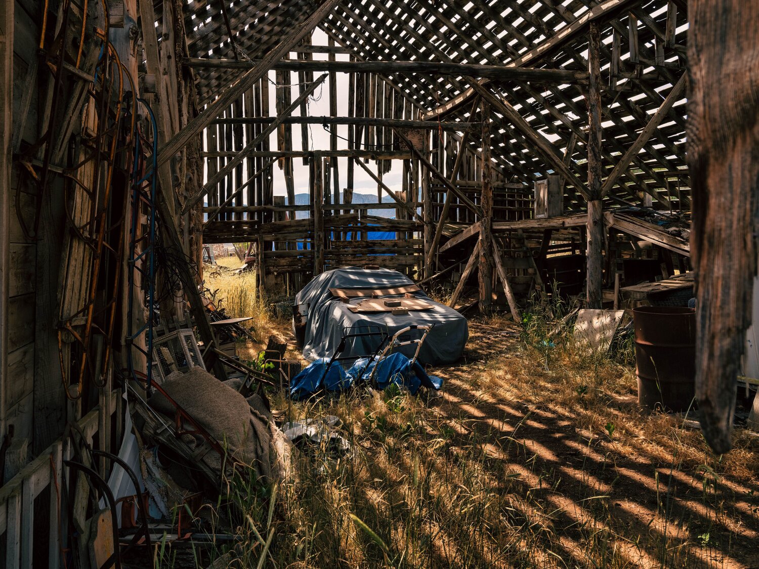 Photo #14025602